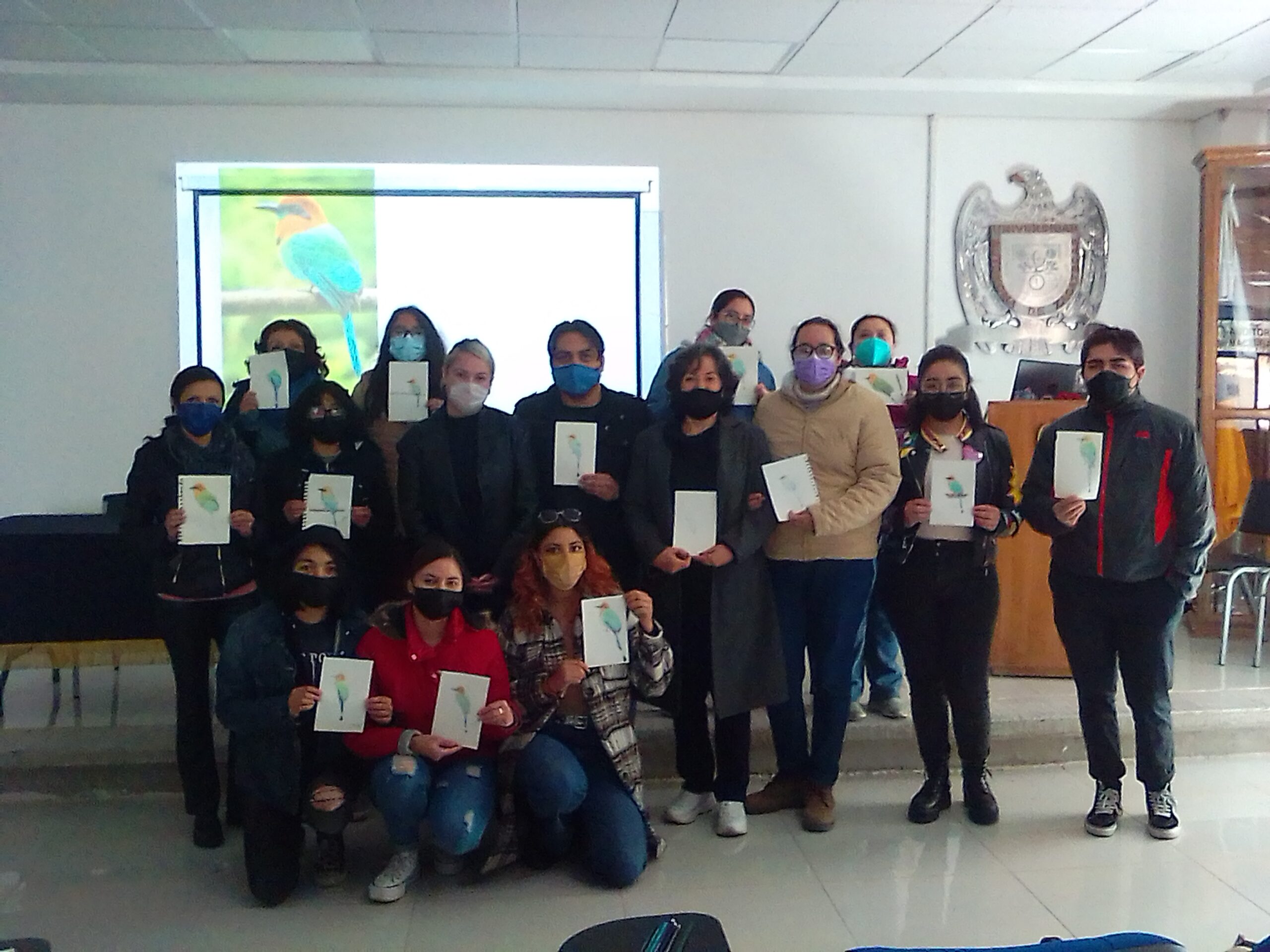 Imagen 5