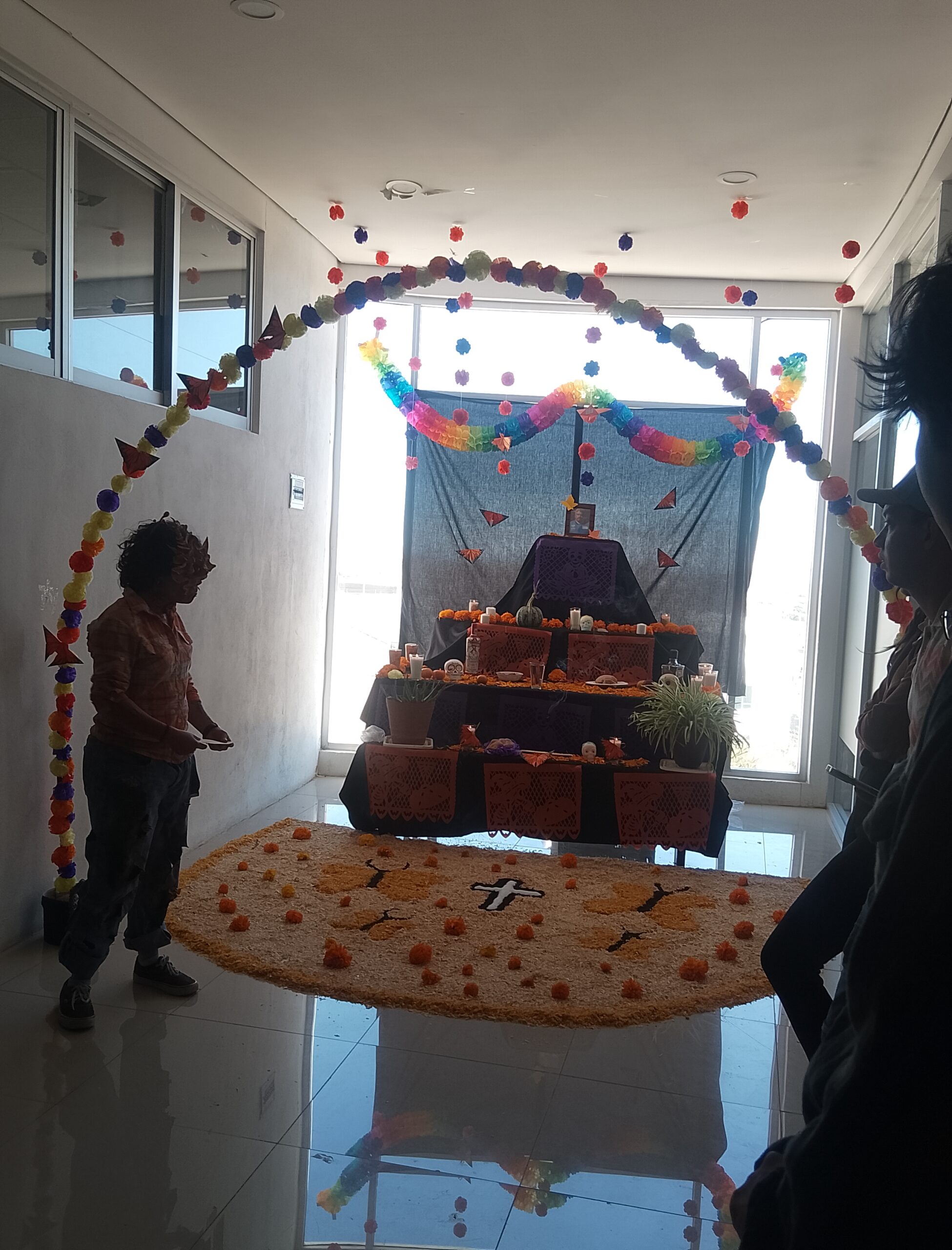 Imagen 5